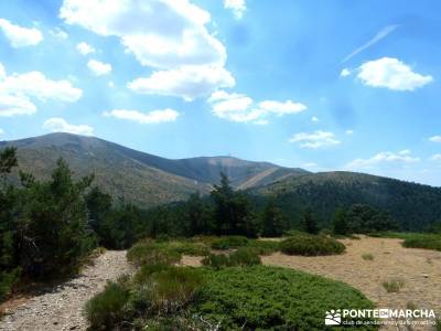 Loma del Noruego; Pinares Valsaín; viaje septiembre; excursiones de senderismo;viajes agosto